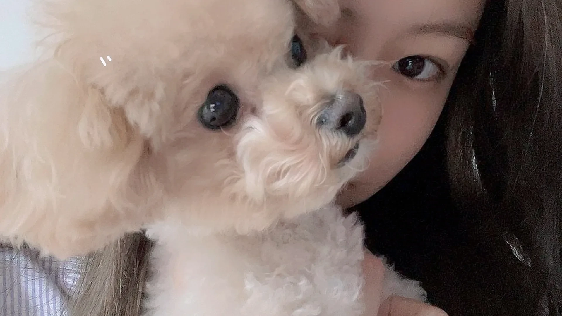 自拍亚洲欧美第一页_午夜精品久久久蜜桃_久久久亚洲熟女精品_精品无码国产自产拍在线看蜜_日韩图片_日韩+欧美+中国_国产精品视频福利_欧美xxxx性欧美xx000_91久久综合狠狠综合久久